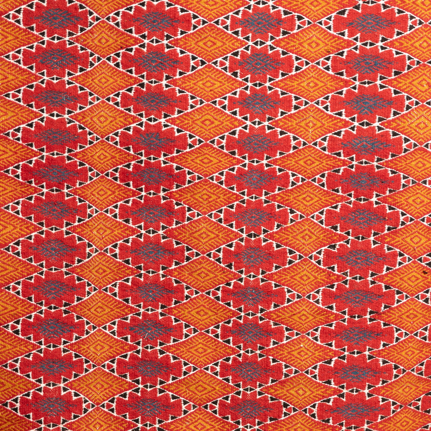 Toujani Rug | Scarlet