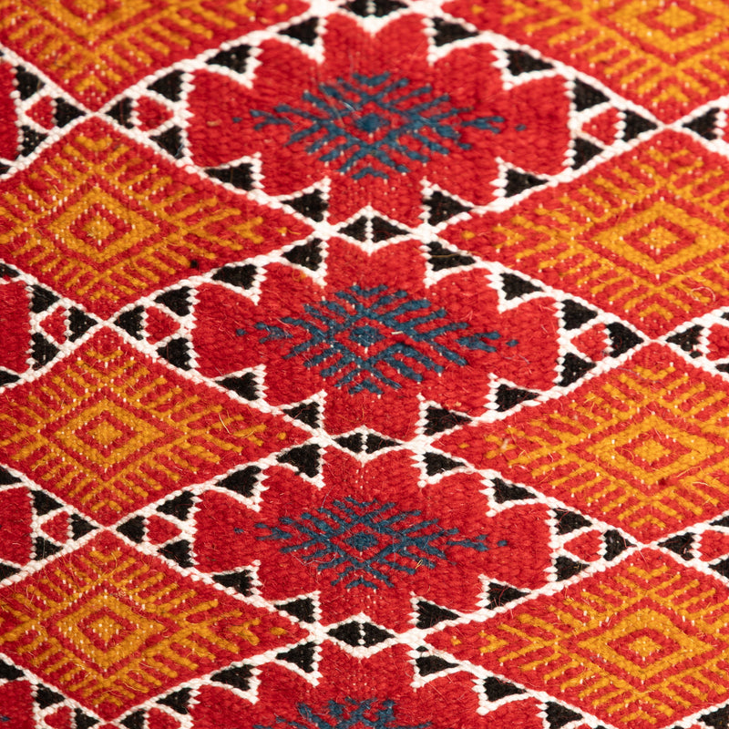 Toujani Rug | Scarlet