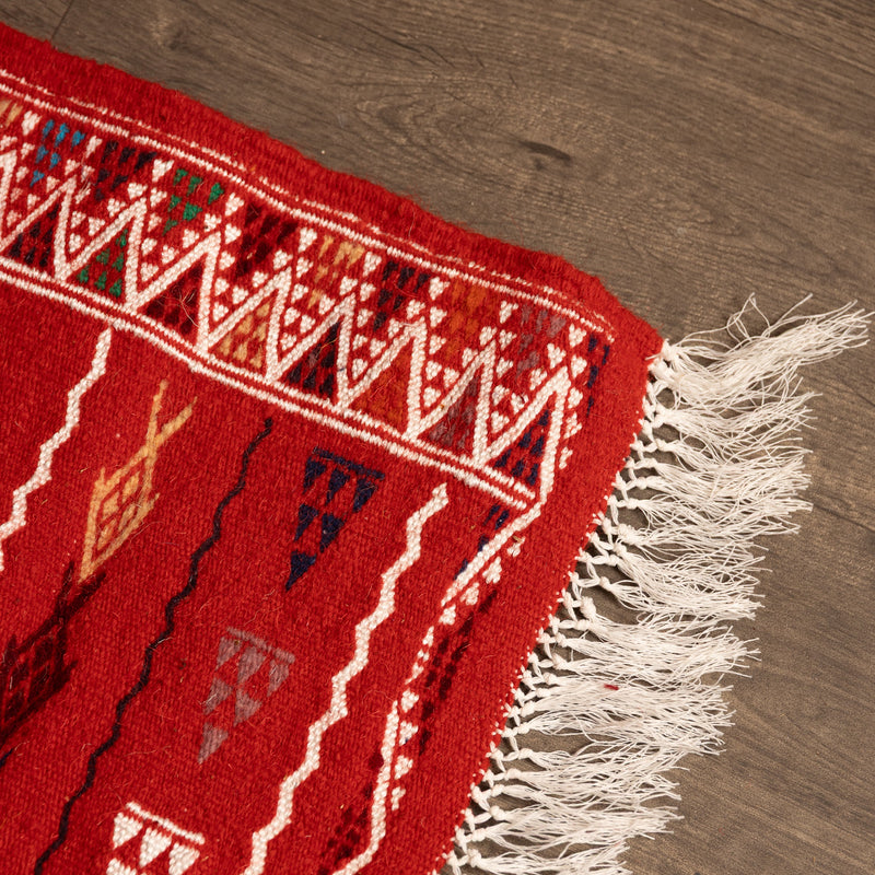 Toujani Rug | Claret