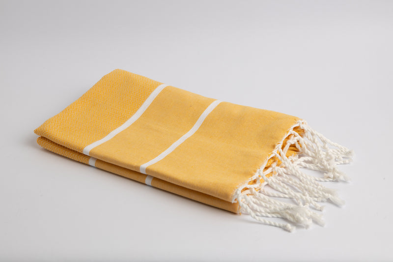 Lumirae Collection | Daffodil