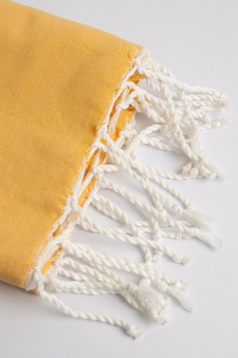 Lumirae Collection | Daffodil